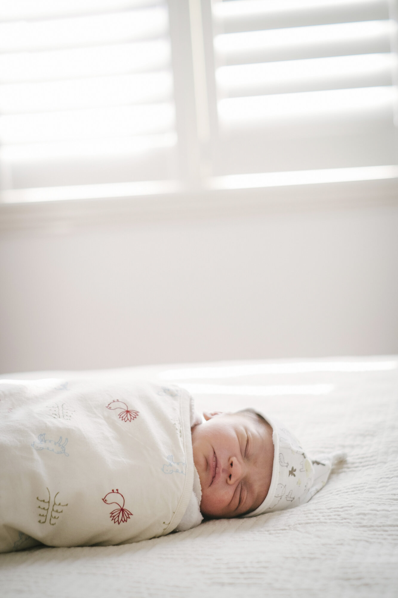 Angie-Roe-Photography-Family-Portrait-Newborn-Perth-Northam-Wheatbelt-Country-Rural (12).jpg