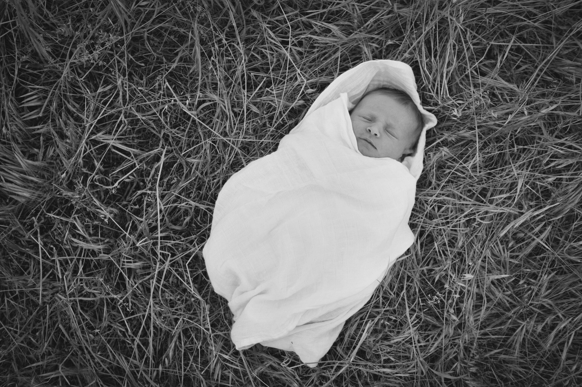 Angie-Roe-Photography-Family-Portrait-Newborn-Perth-Northam-Wheatbelt-Country-Rural (58).jpg