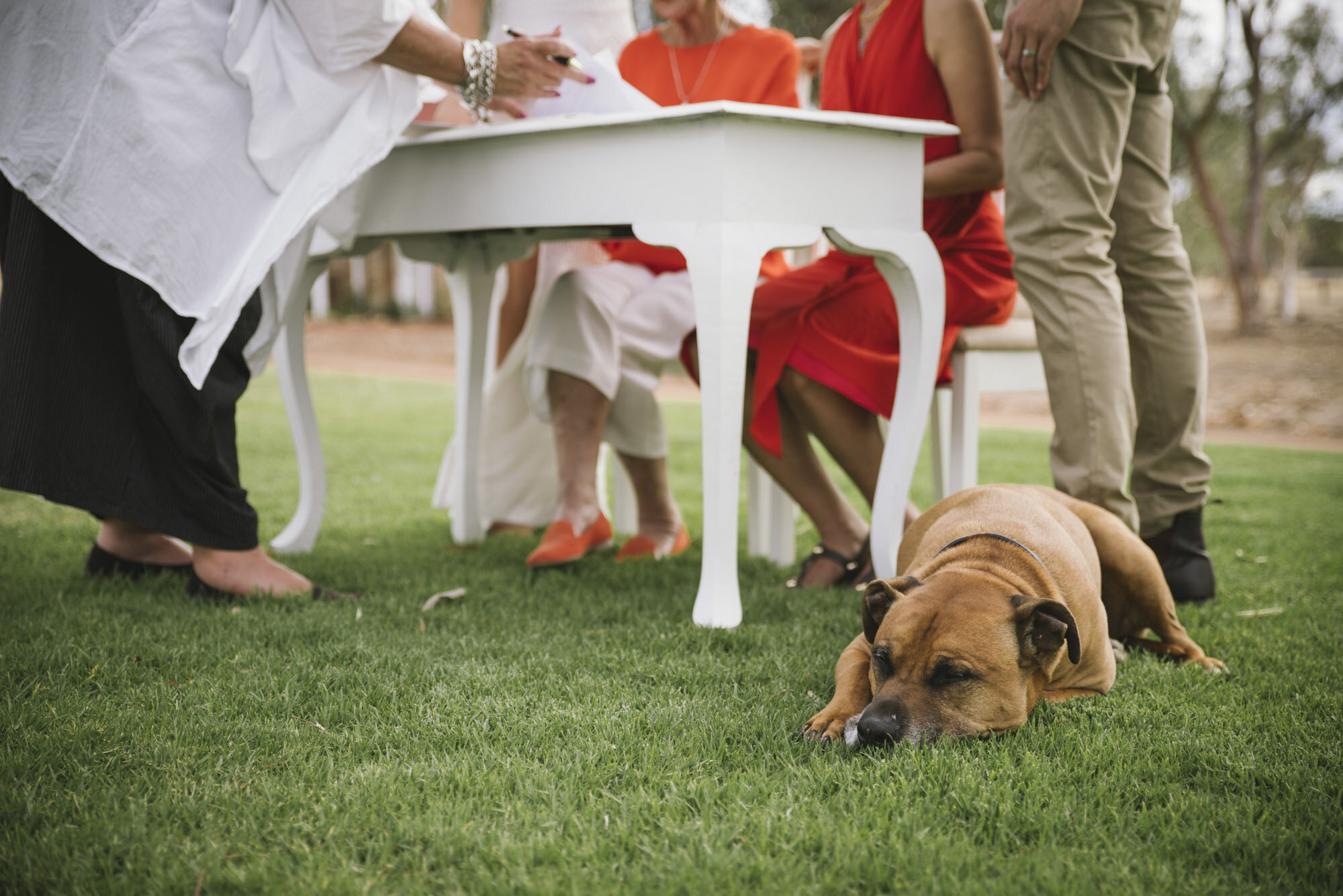 Angie-Roe-Photography-Wedding-Buckland-Northam-Wheatbelt-Rustic-Rural-Country (13).jpg