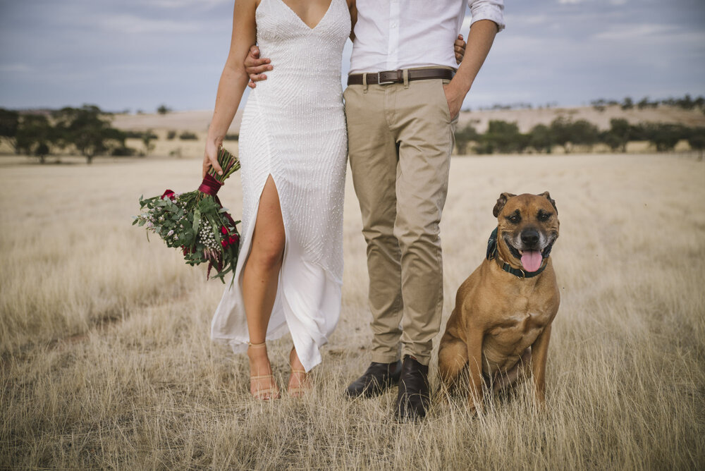 Angie-Roe-Photography-Wedding-Buckland-Northam-Wheatbelt-Rustic-Rural-Country (35).jpg