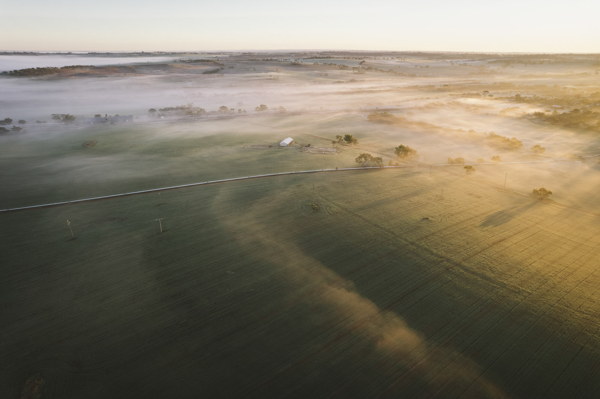 Angie-Roe-Photography-Commercial-Corporate-Perth-Northam-Wheatbelt-Country-Rural (216).jpg