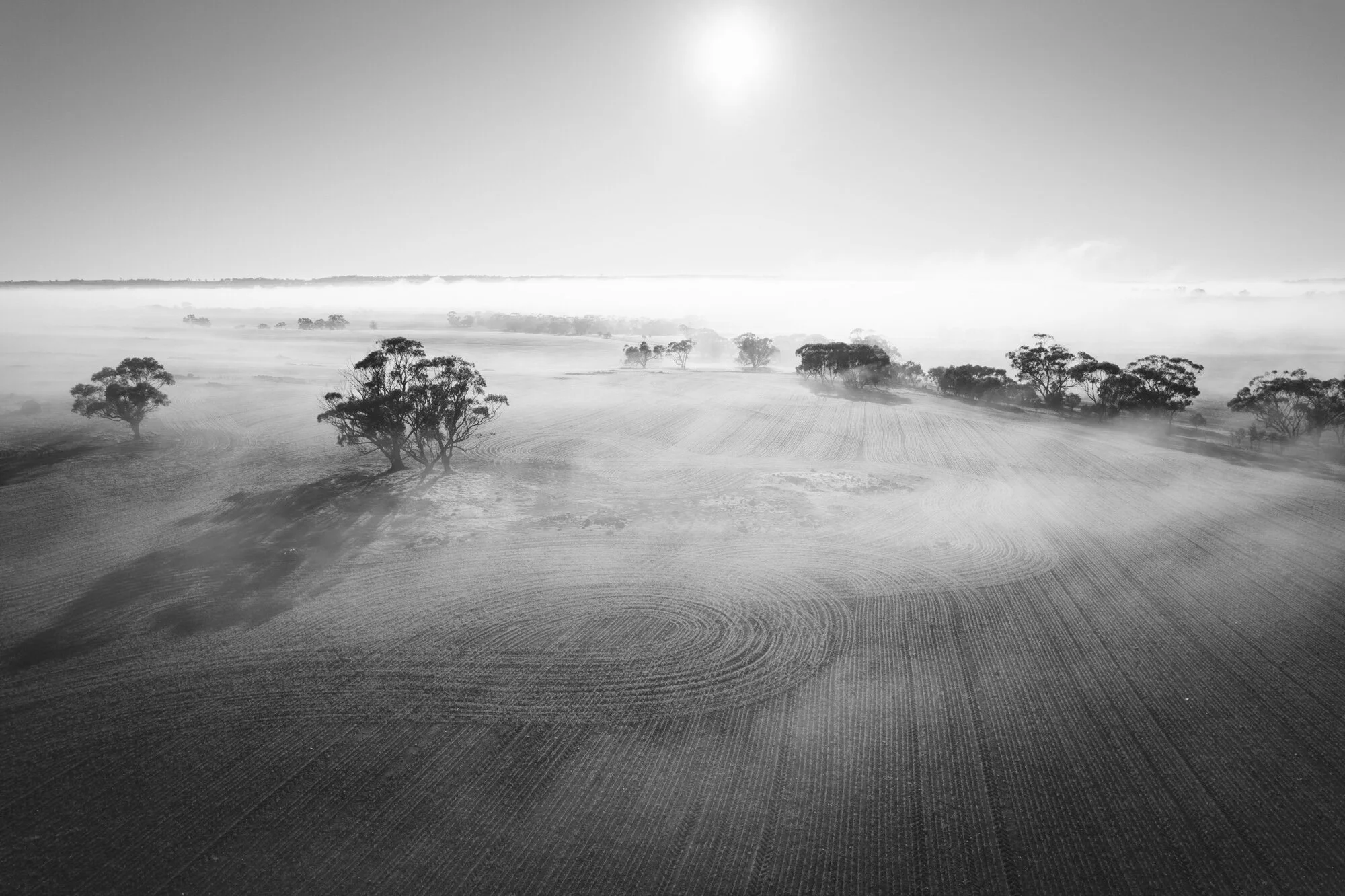 Angie Roe 21 From ’21 | A Snapshot of 2021 {Avon Valley, Wheatbelt & Perth ...