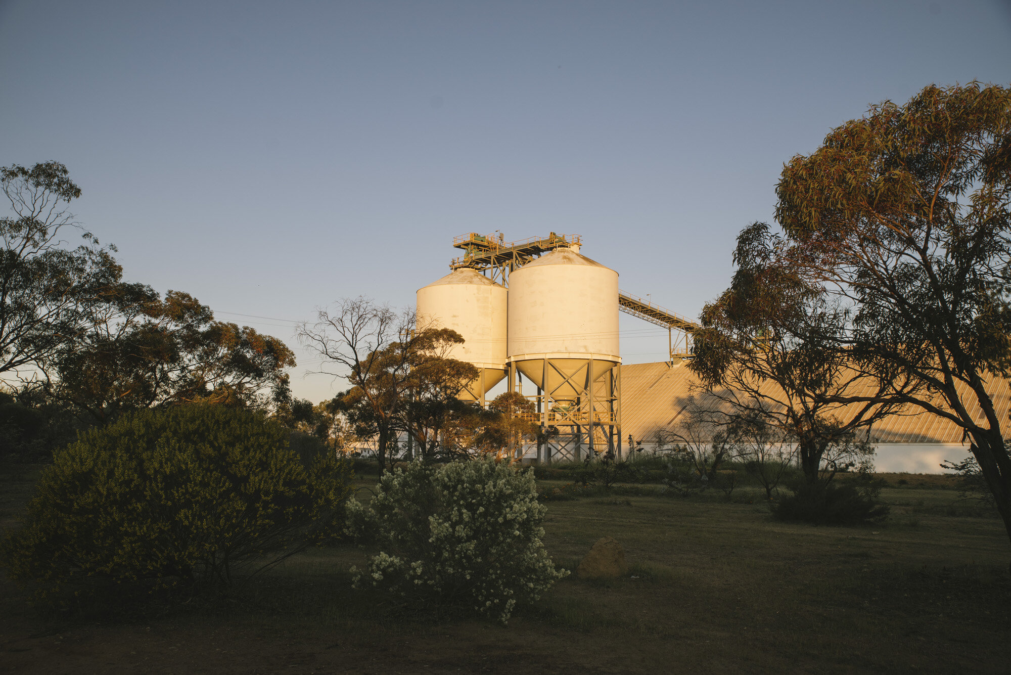 Angie-Roe-Photography-Northam-Perth-Wheatbelt-Rural-Photographer (10).jpg