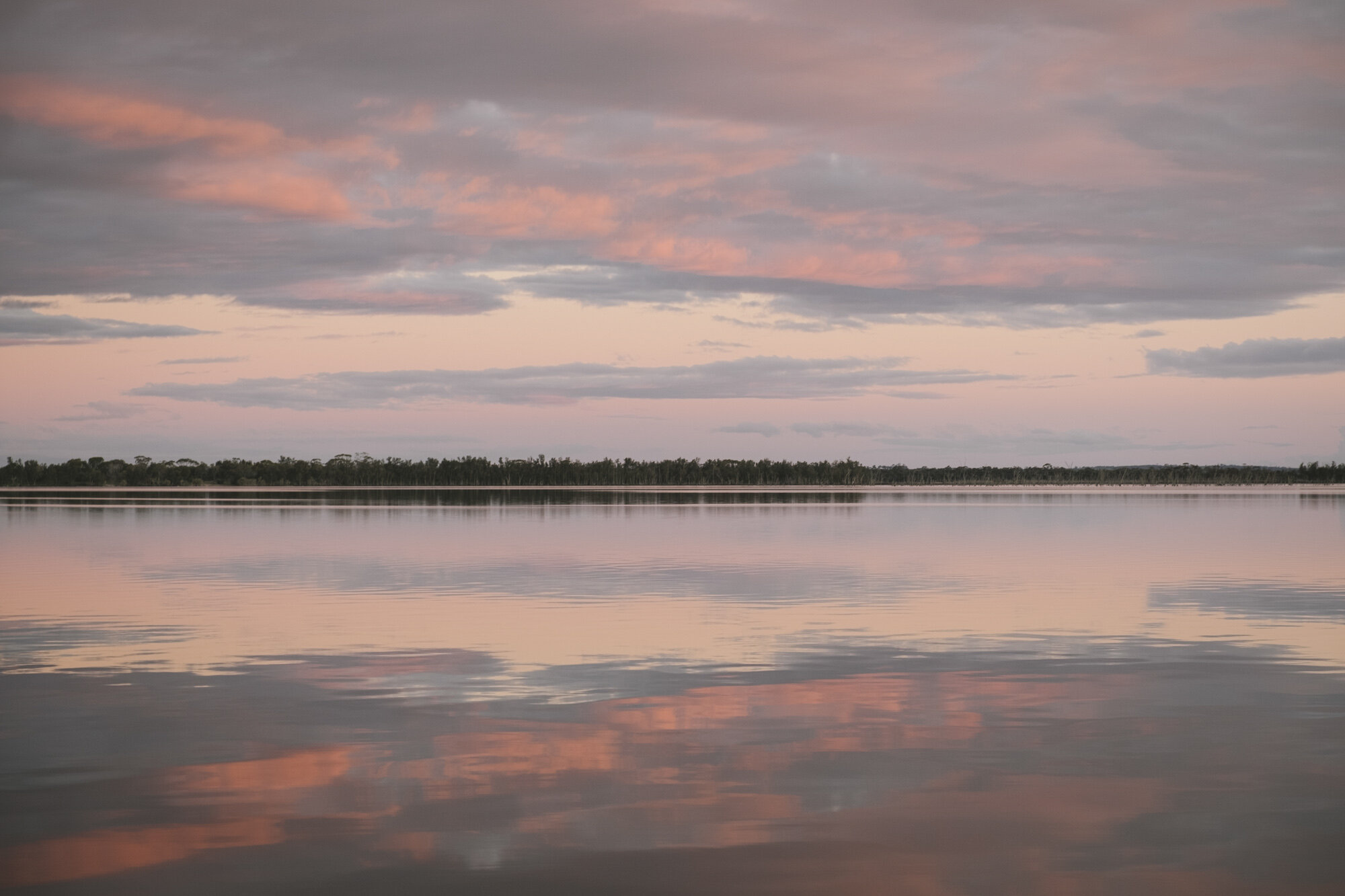 Angie-Roe-Photography-Northam-Perth-Wheatbelt-Rural-Photographer (18).jpg