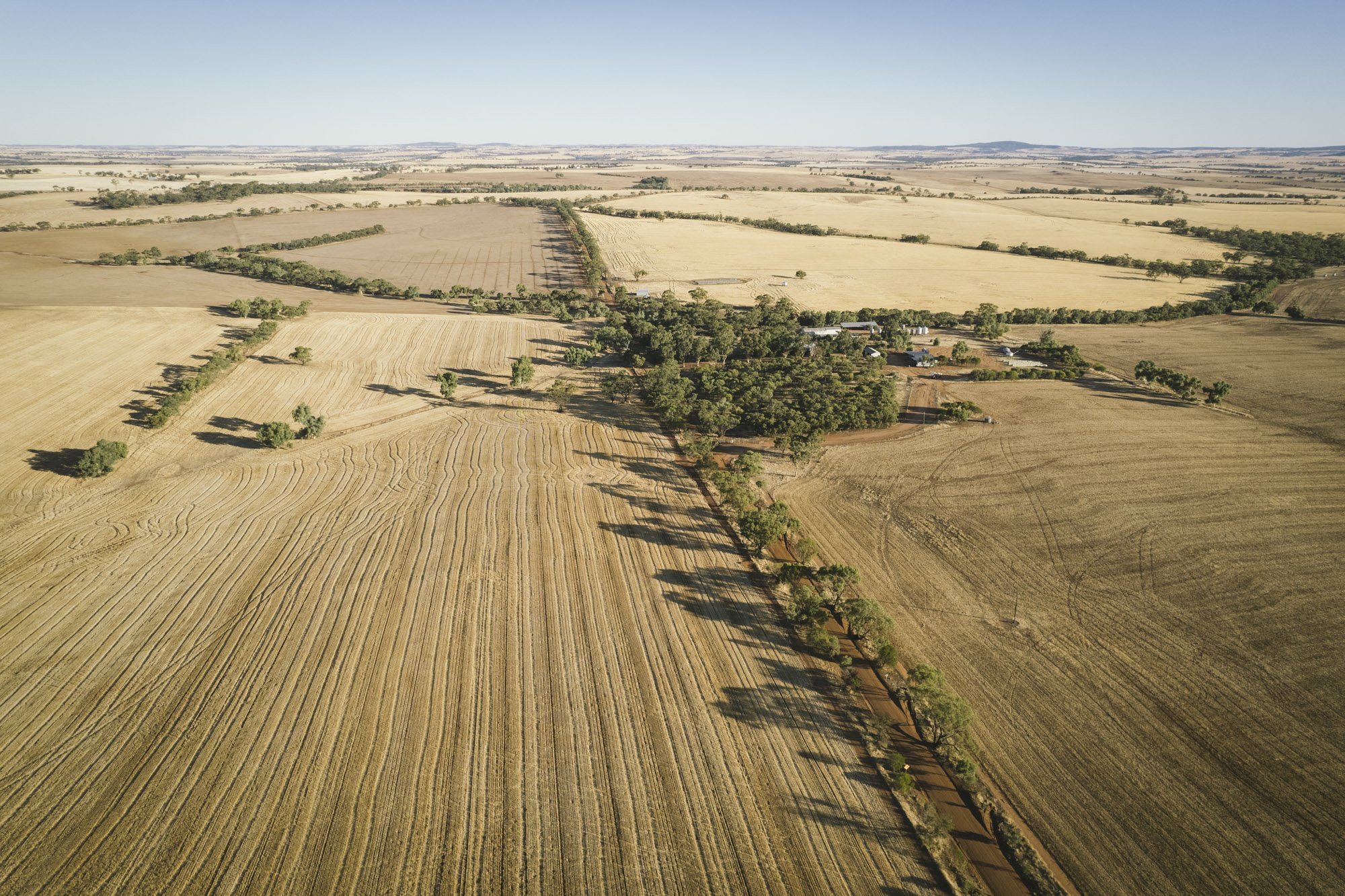 Angie-Roe-Photography-Perth-Wheatbelt-Rural-Avon-Valley (4).jpg