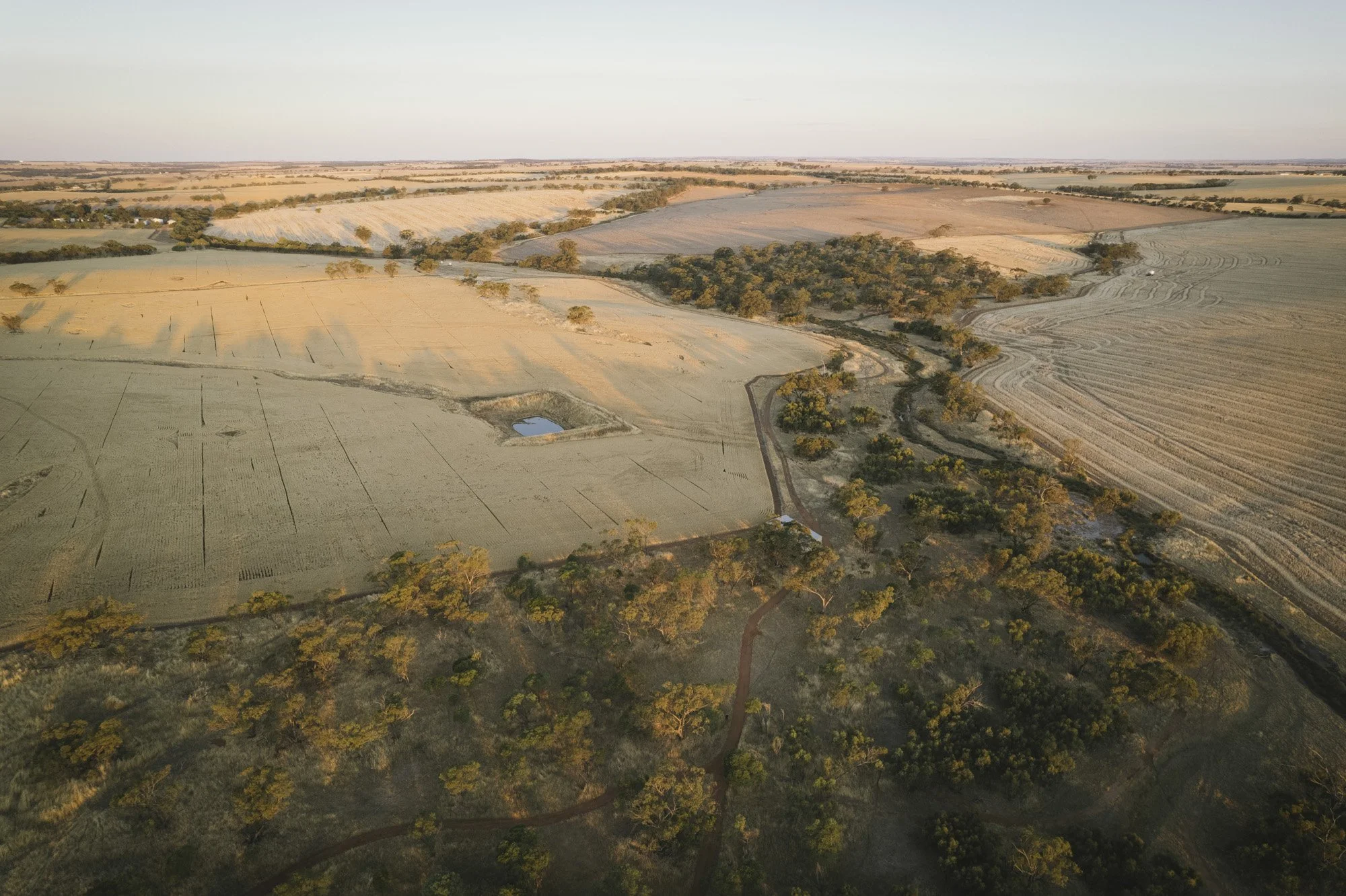 23 From '23 | A Snapshot of 2023 {Avon Valley, Wheatbelt & Perth ...