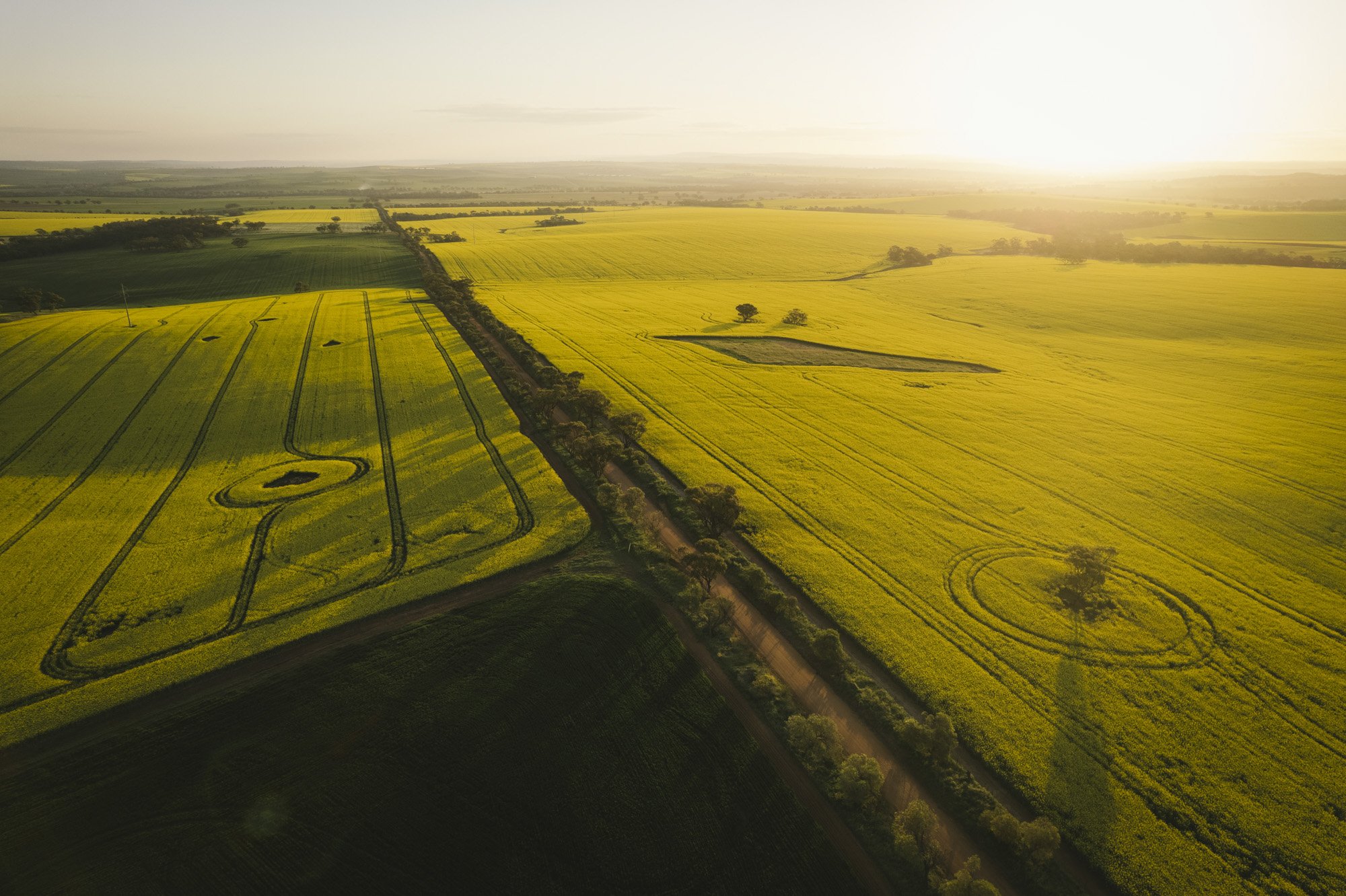 Angie-Roe-Photography-Perth-Wheatbelt-Northam-Rural-Avon-Valley (21).jpg