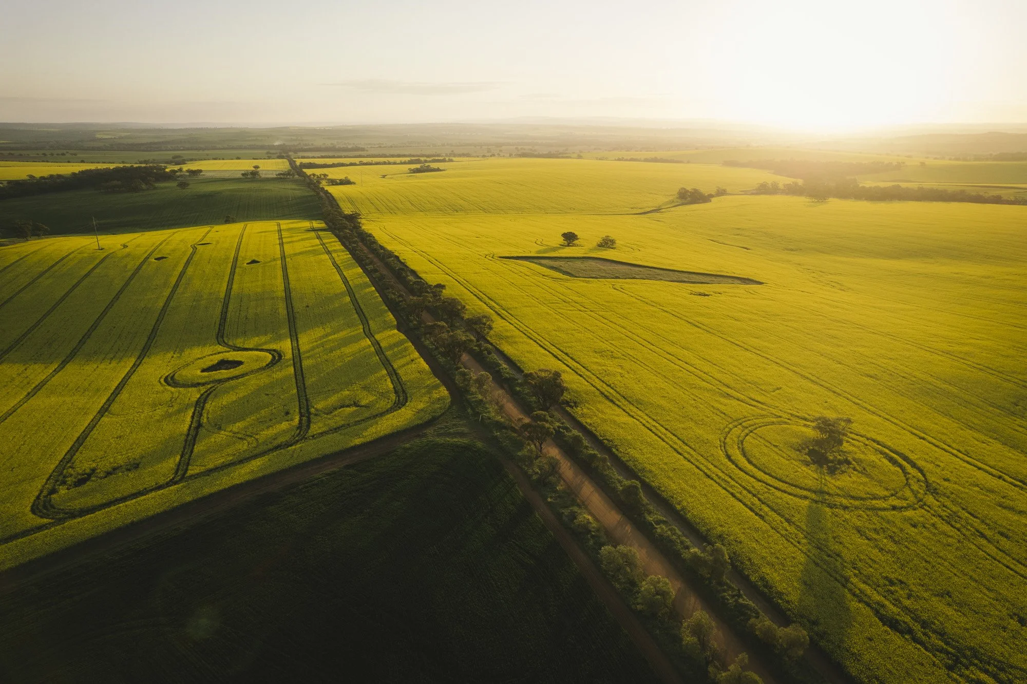 23 From '23 | A Snapshot of 2023 {Avon Valley, Wheatbelt & Perth ...