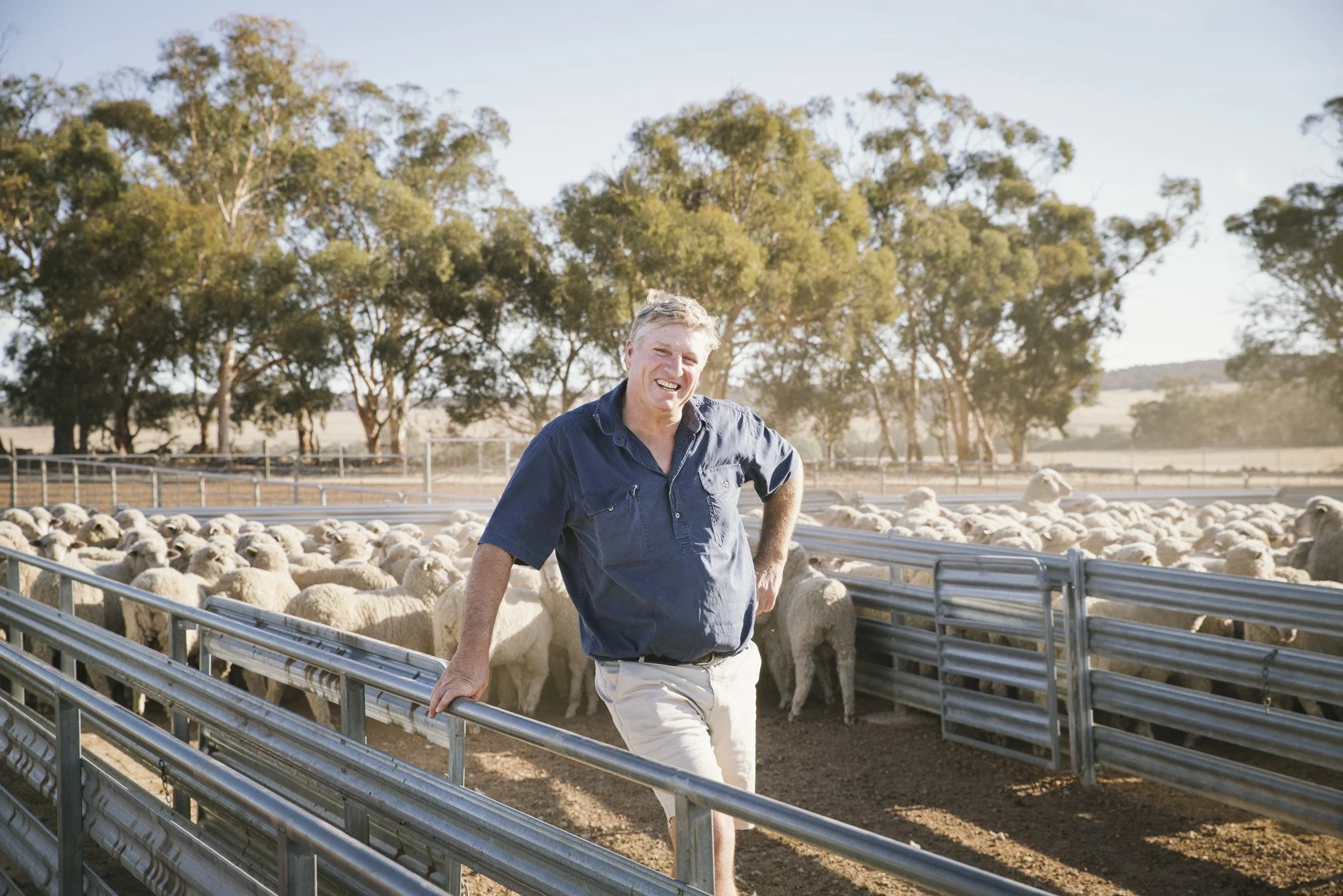 24 From '24 | A Snapshot of 2024 {Avon Valley, Wheatbelt & Perth ...