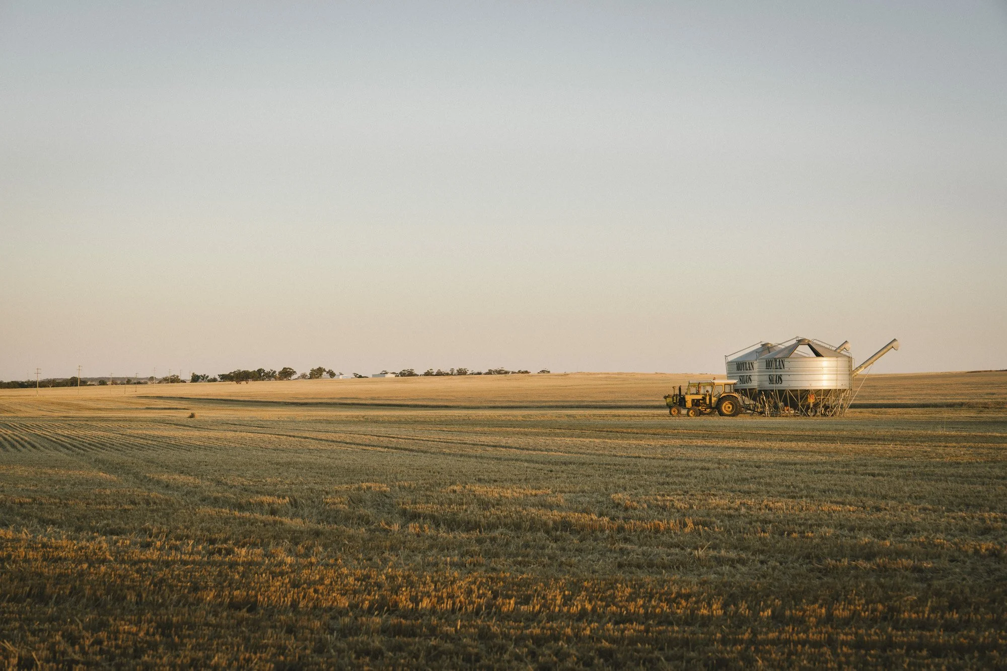 24 From '24 | A Snapshot of 2024 {Avon Valley, Wheatbelt & Perth ...