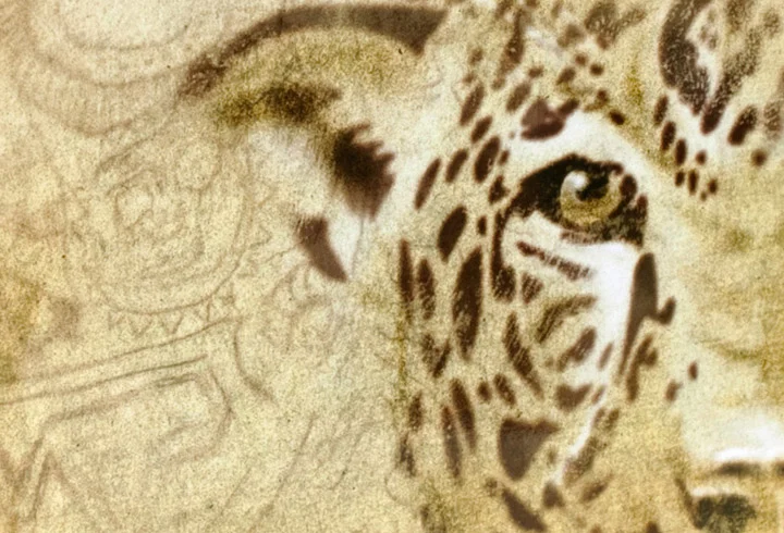 SpiritSongCapeDetail.jpg