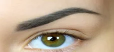 Permanent Makeup Brow (solid color)