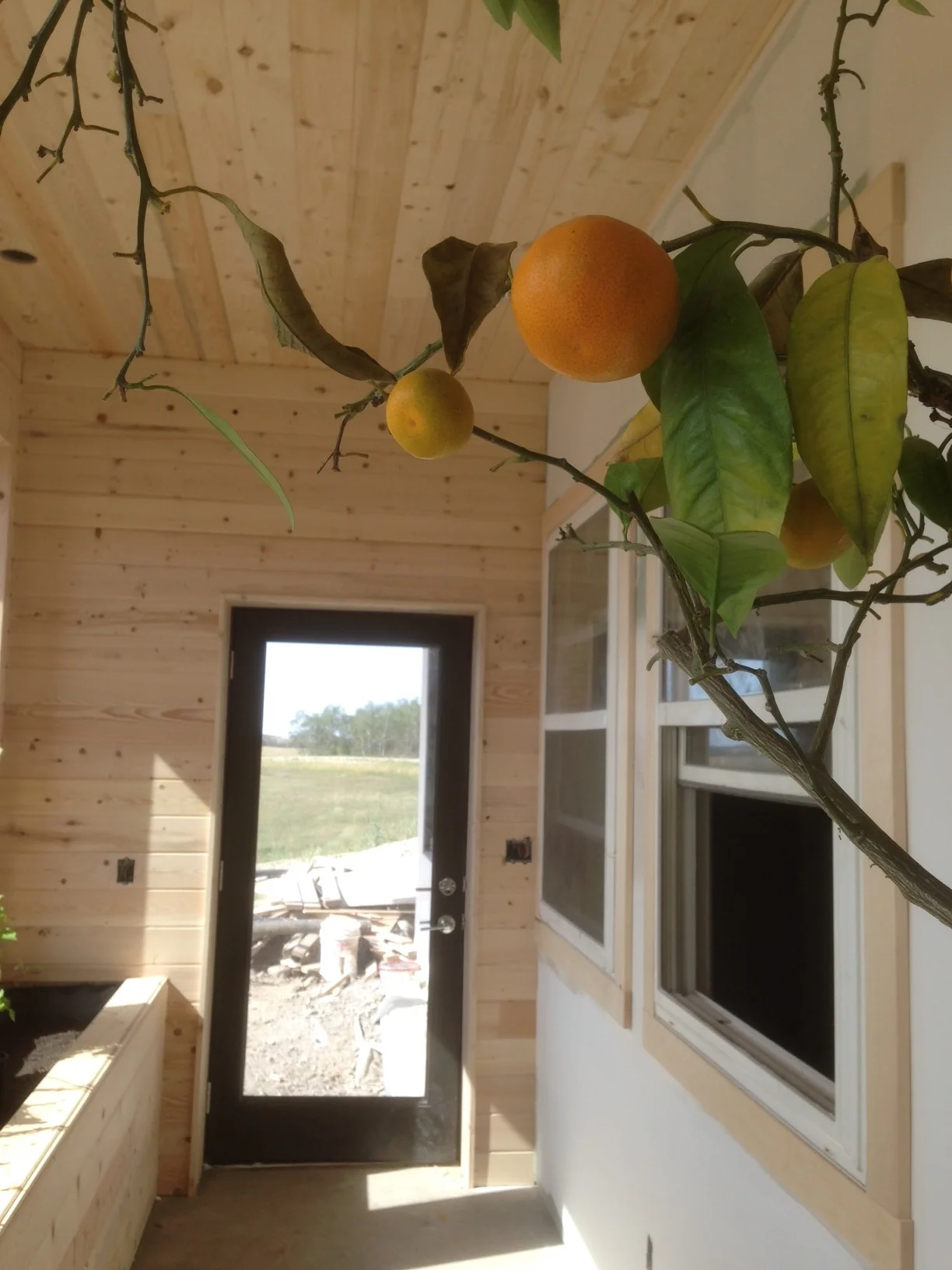 saskatoon earthship.JPG