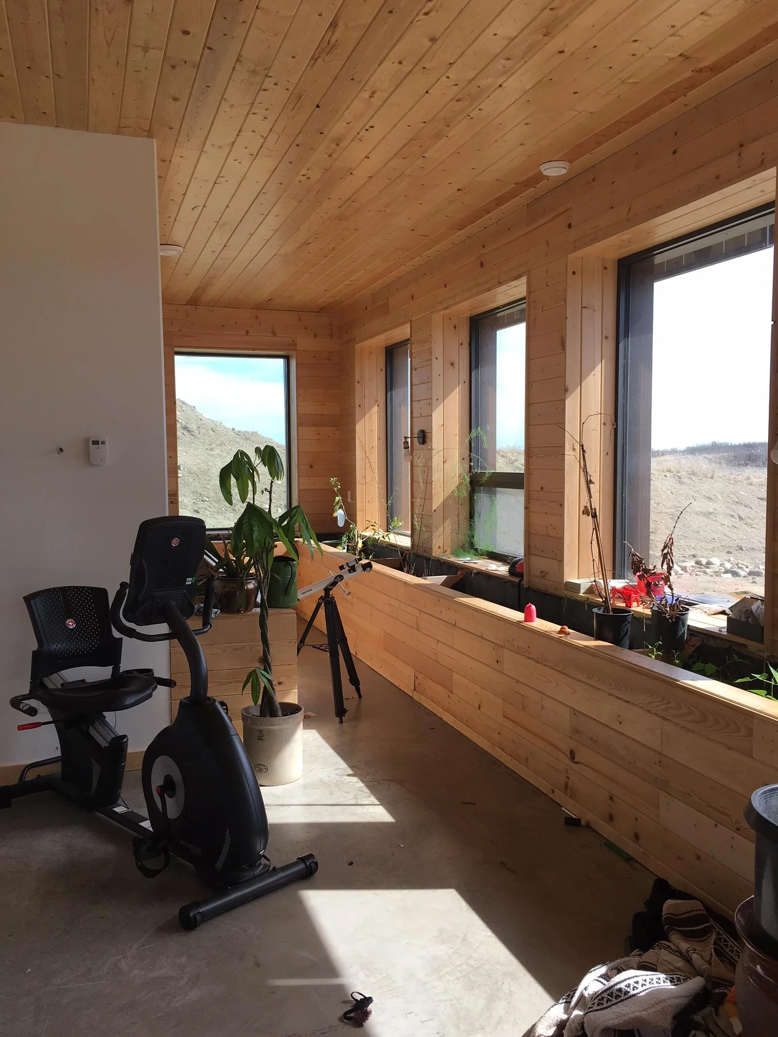 excercise with plants.JPG