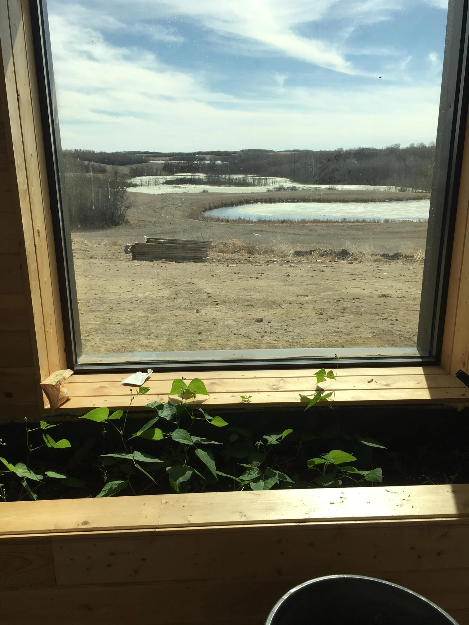 fresh produce year round.JPG