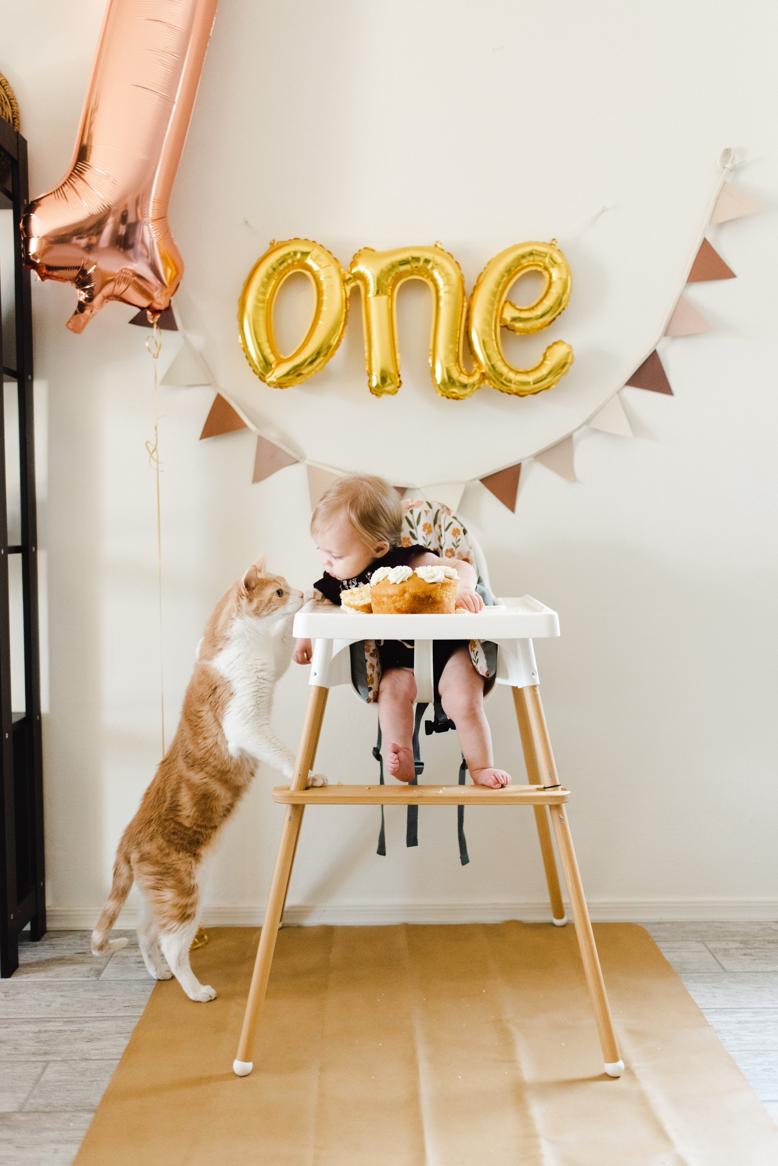 Hayley Moon Turns One-120.jpg