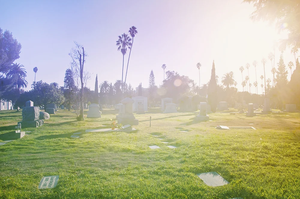 Hollywood Forever.jpg