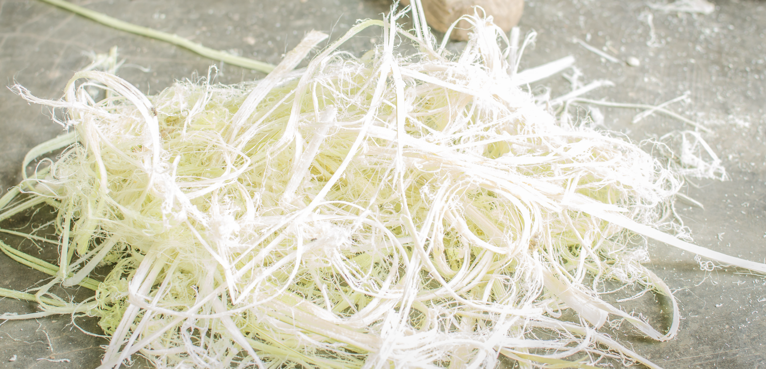 Screenshot 2025-11-14 at 12.42.01 AM.png