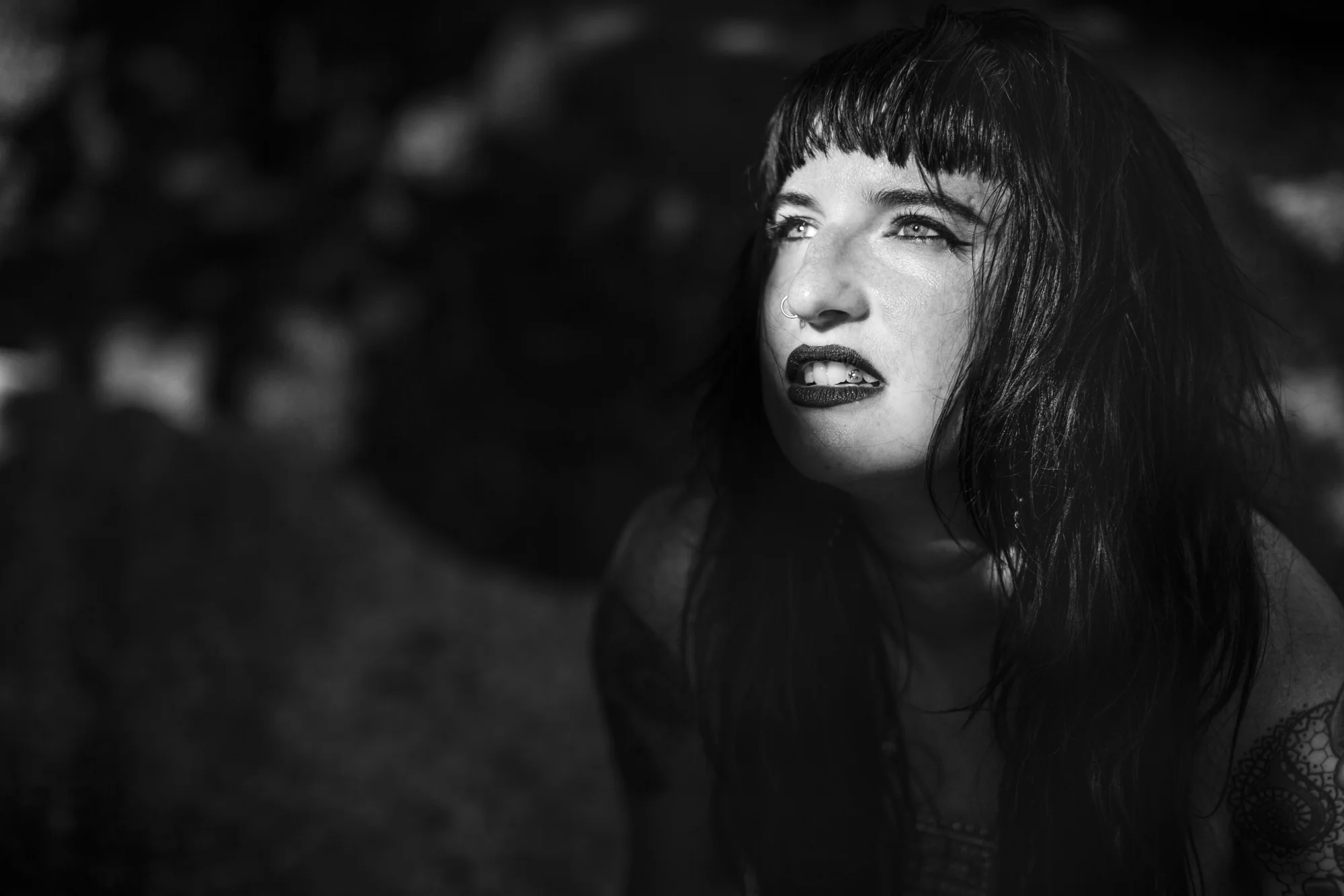 _V0A3783.jpg