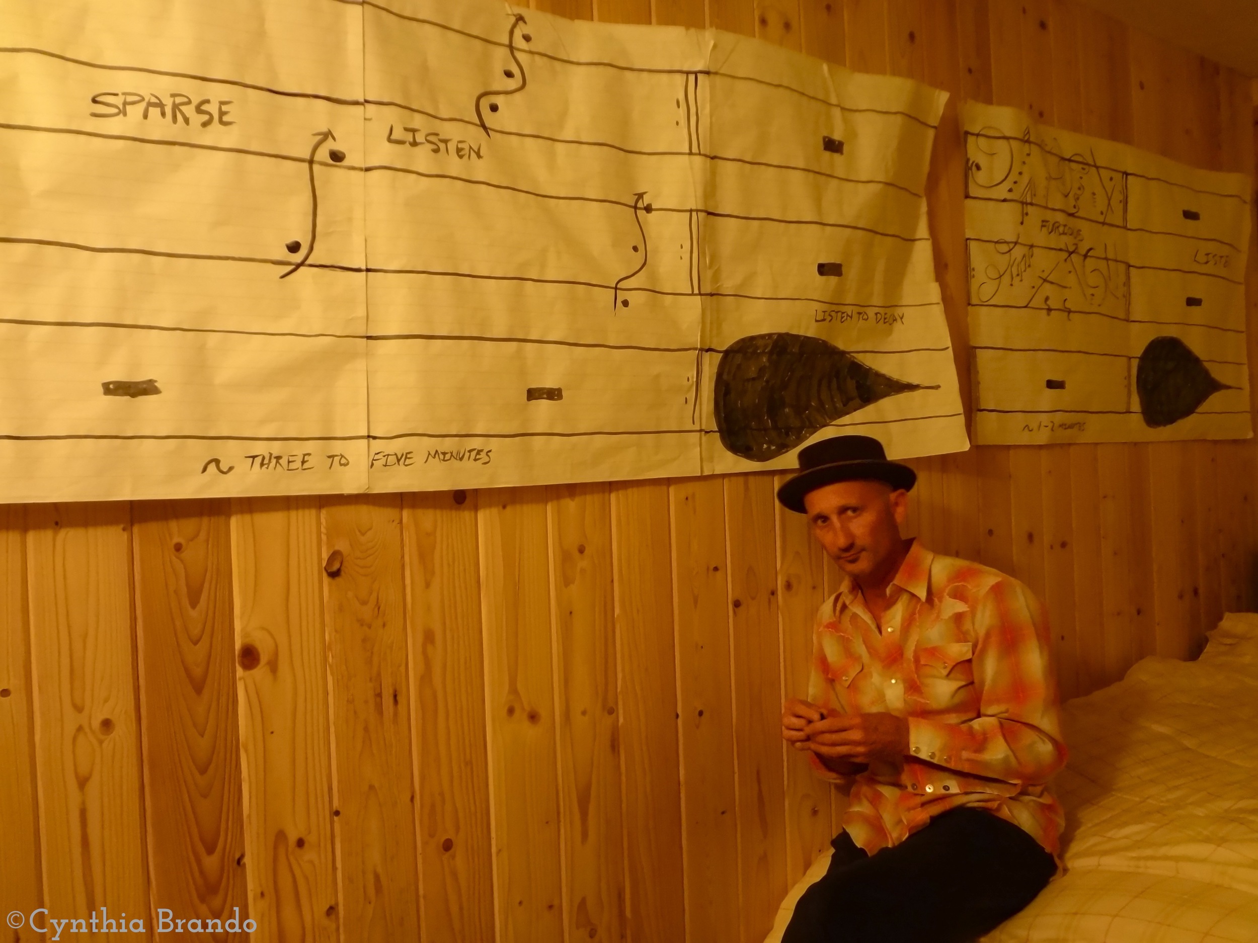 Musical Art Installations by Lucio Menegon .