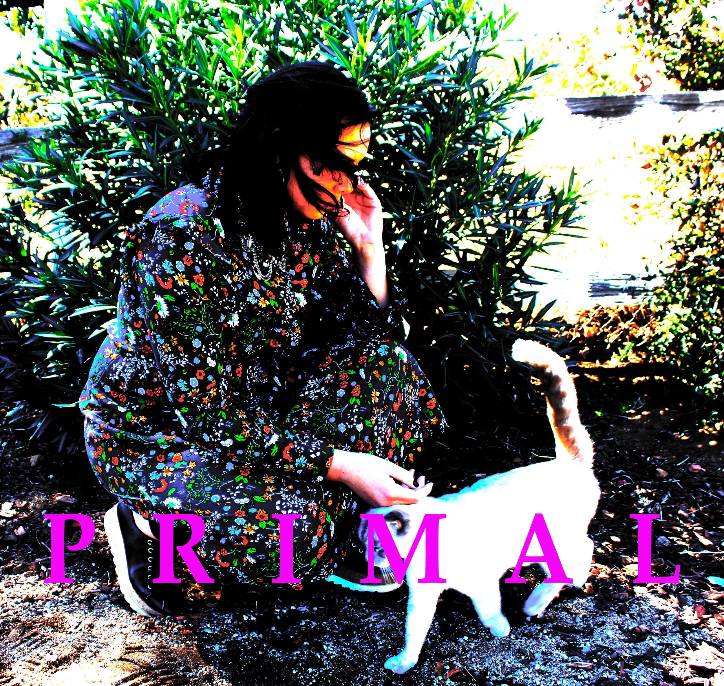 Primal-Website.jpg