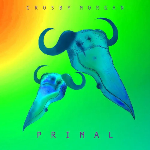 PRIMAL YouTube Video Image.jpg