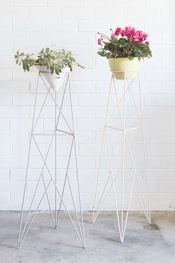 BO WONG - rose_studio_13 - web.jpg