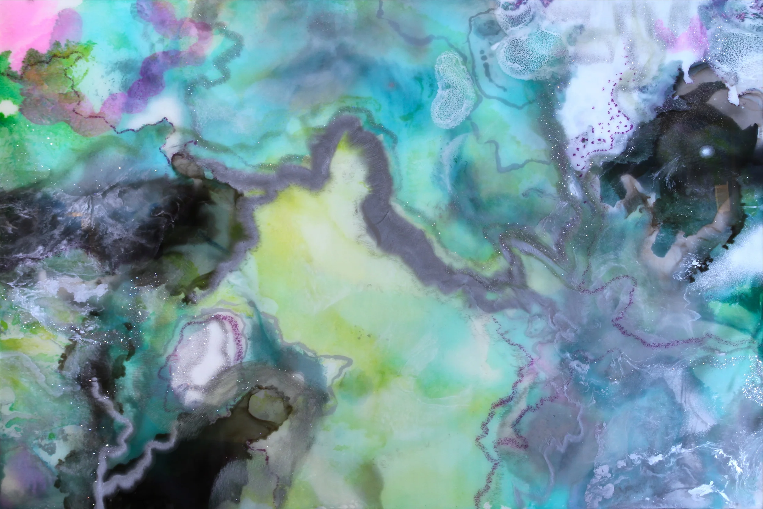 Welcome to the Jungle