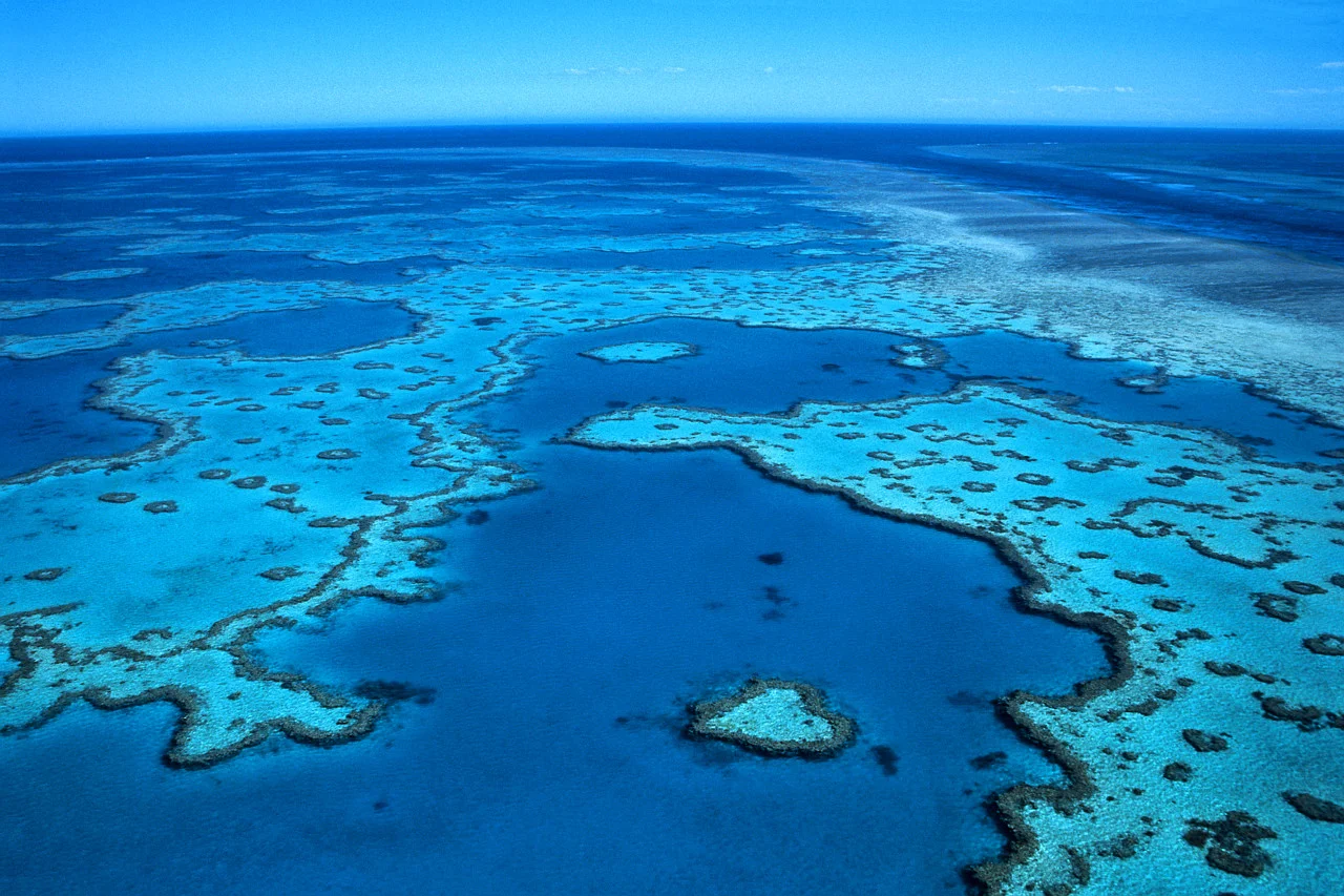 Great Barrier Reef.jpg