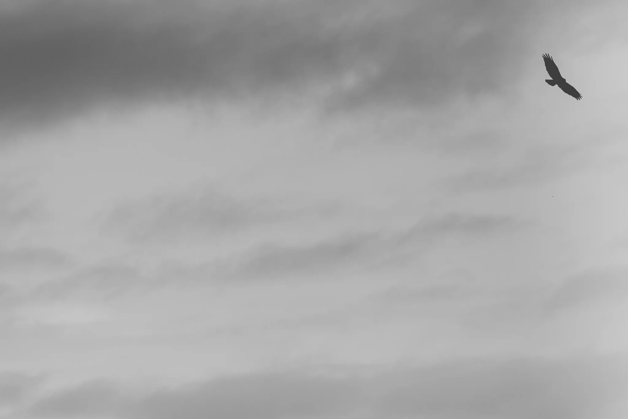 scotland (39 of 242).jpg