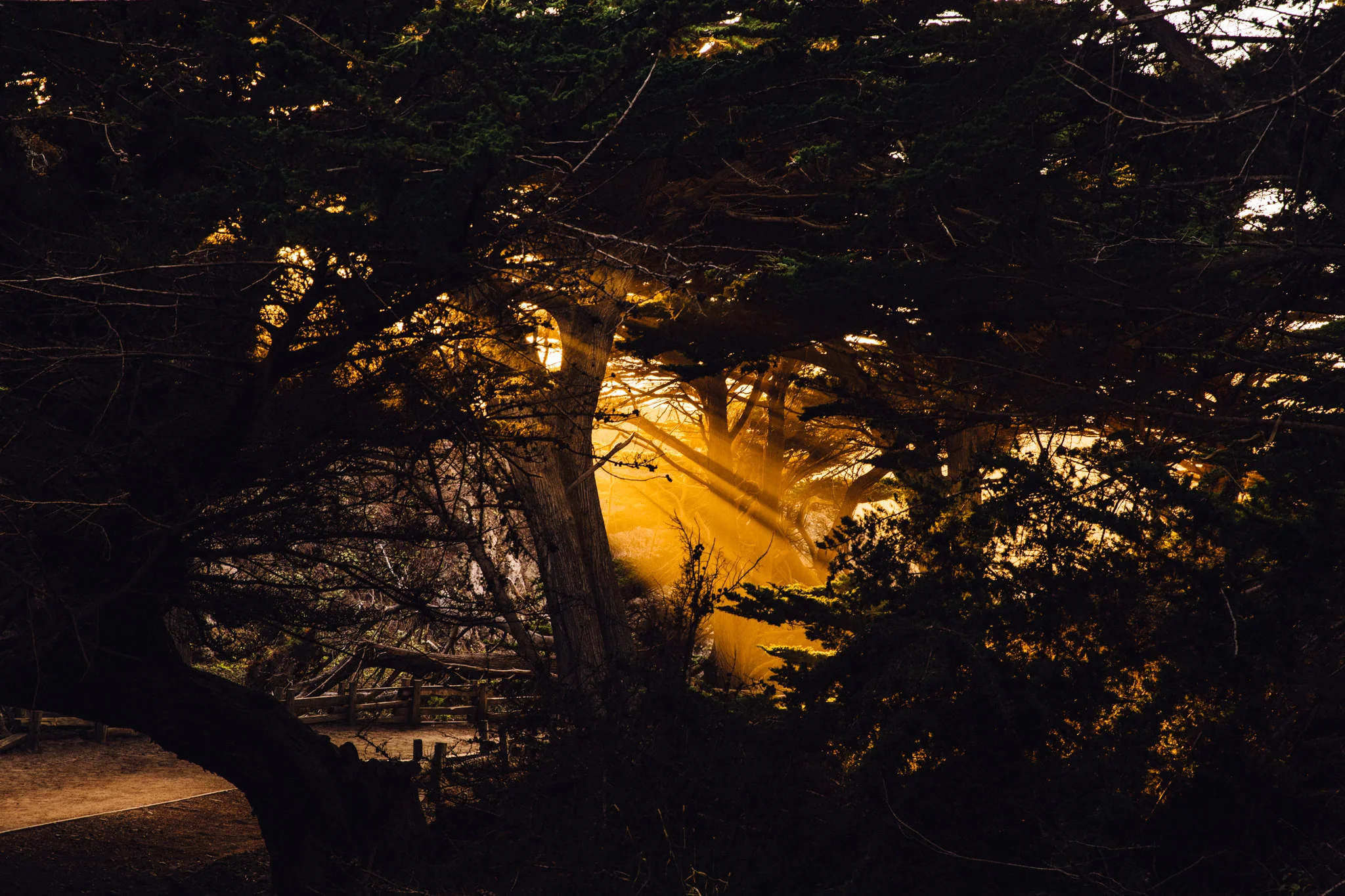 Big Sur-6.jpg