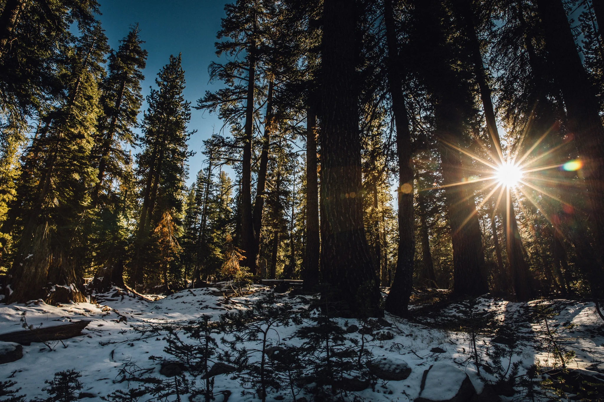 yosemite today-19.jpg