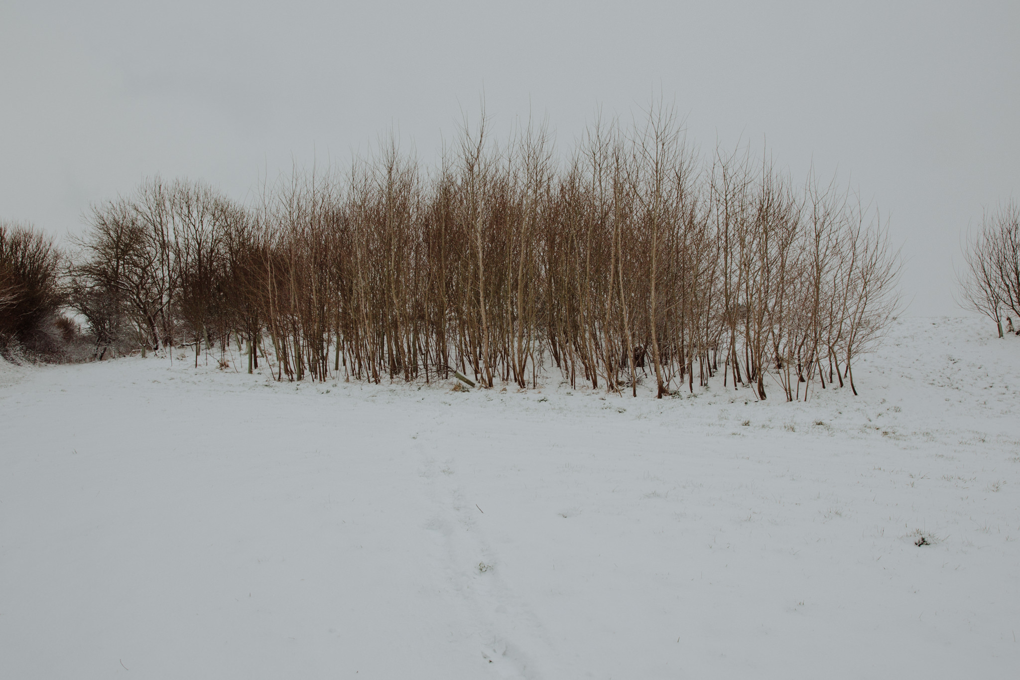 snow-4.jpg