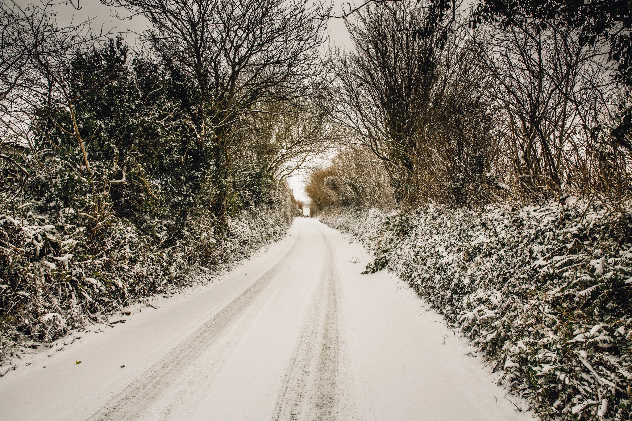 snow-3.jpg