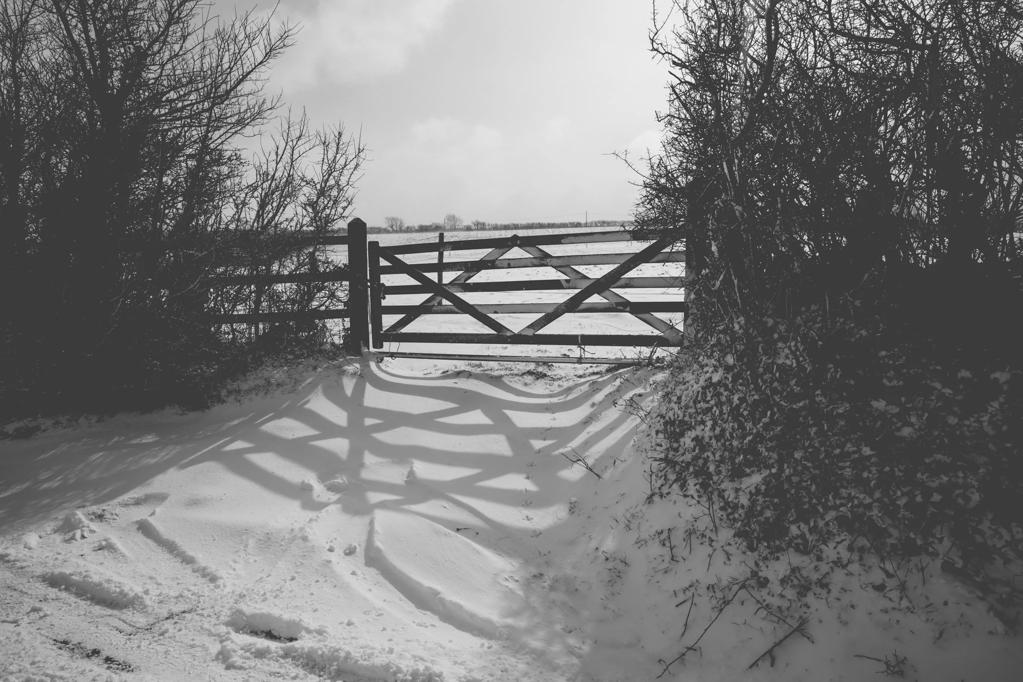 snow-8.jpg