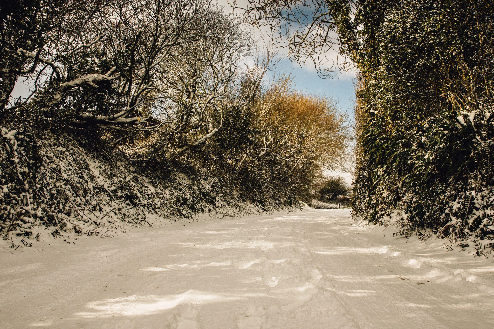 snow-7.jpg