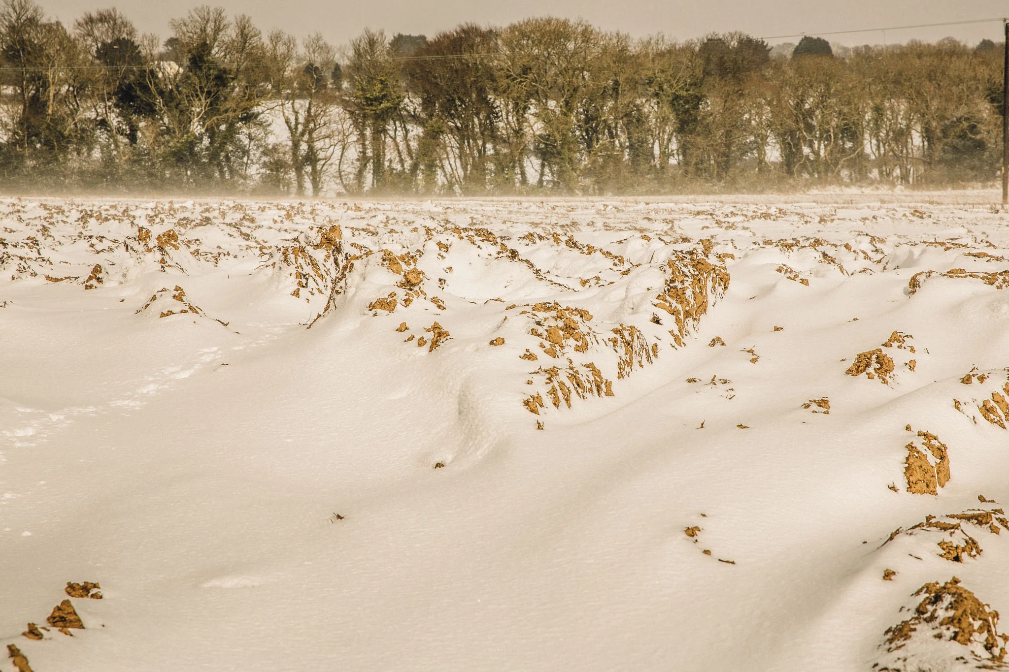 snow-9.jpg