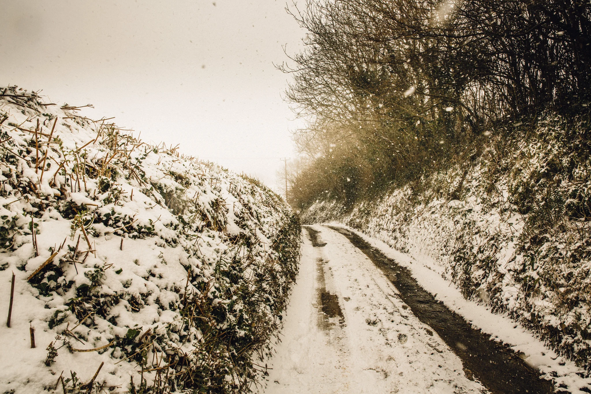 snow-10.jpg