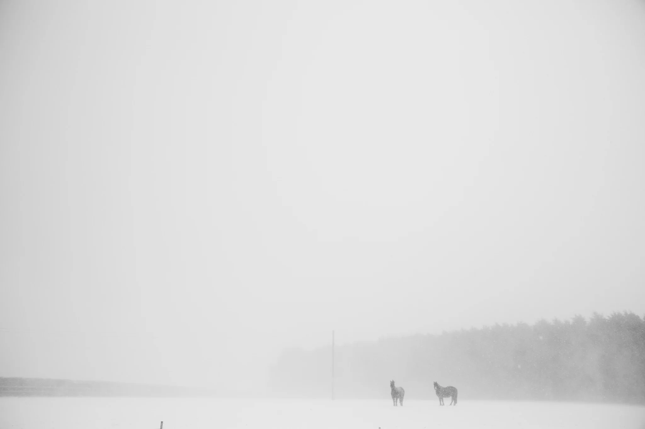 snow-16.jpg