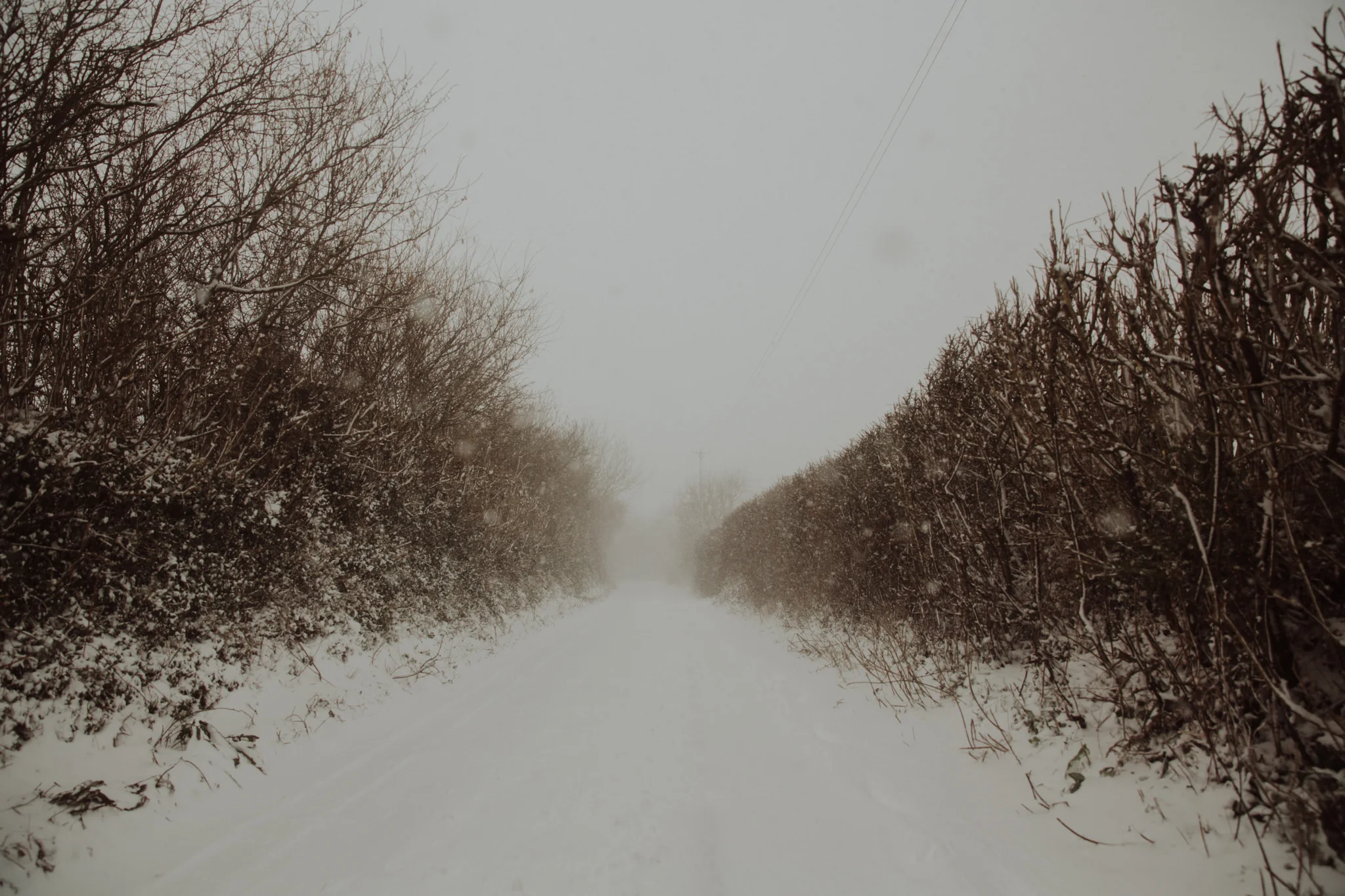 snow-15.jpg