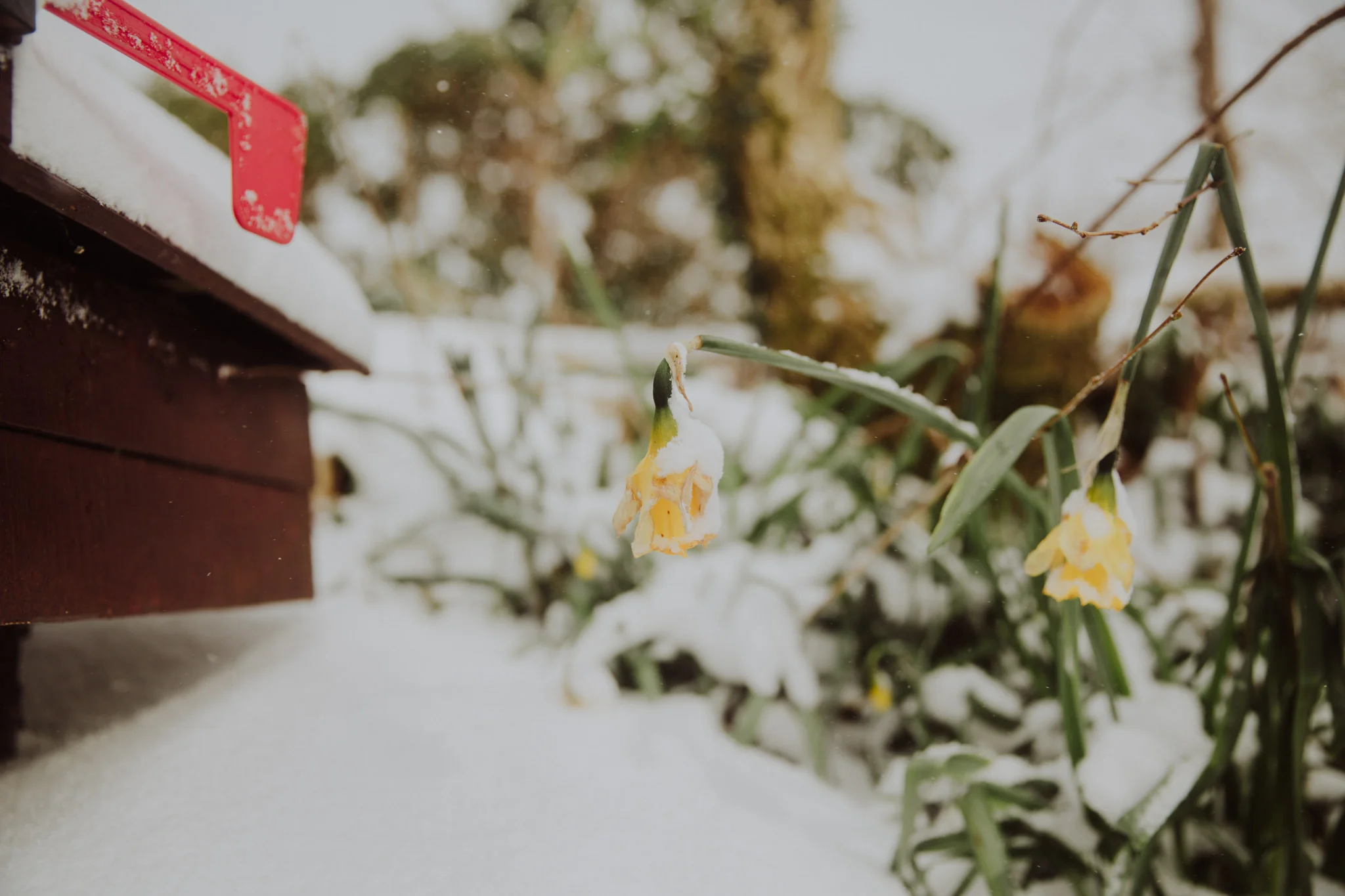 snow-18.jpg