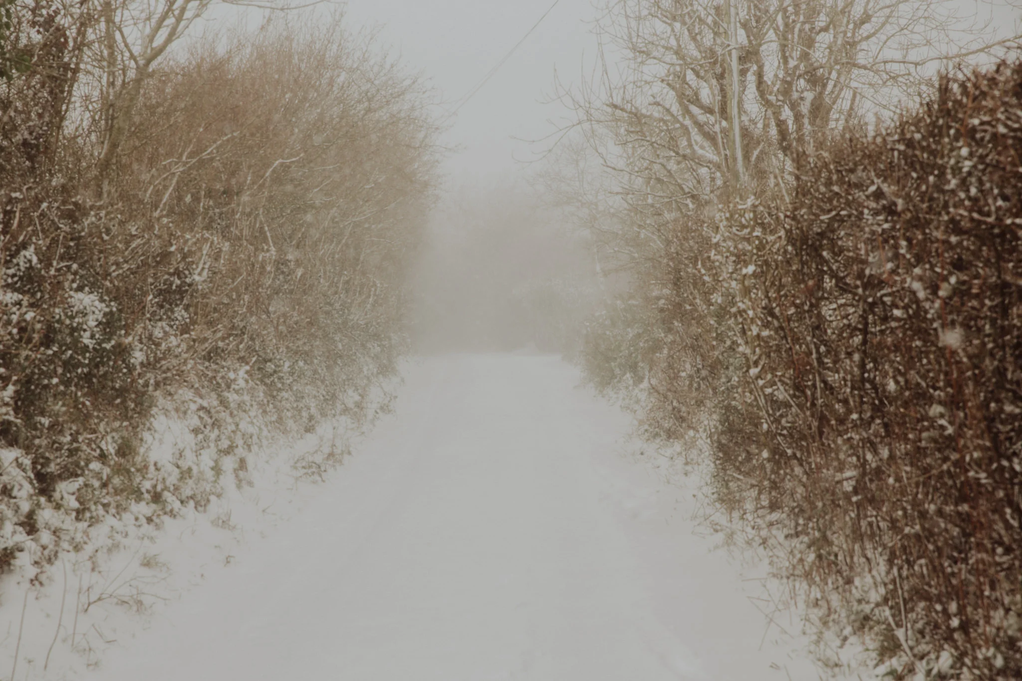 snow-17.jpg