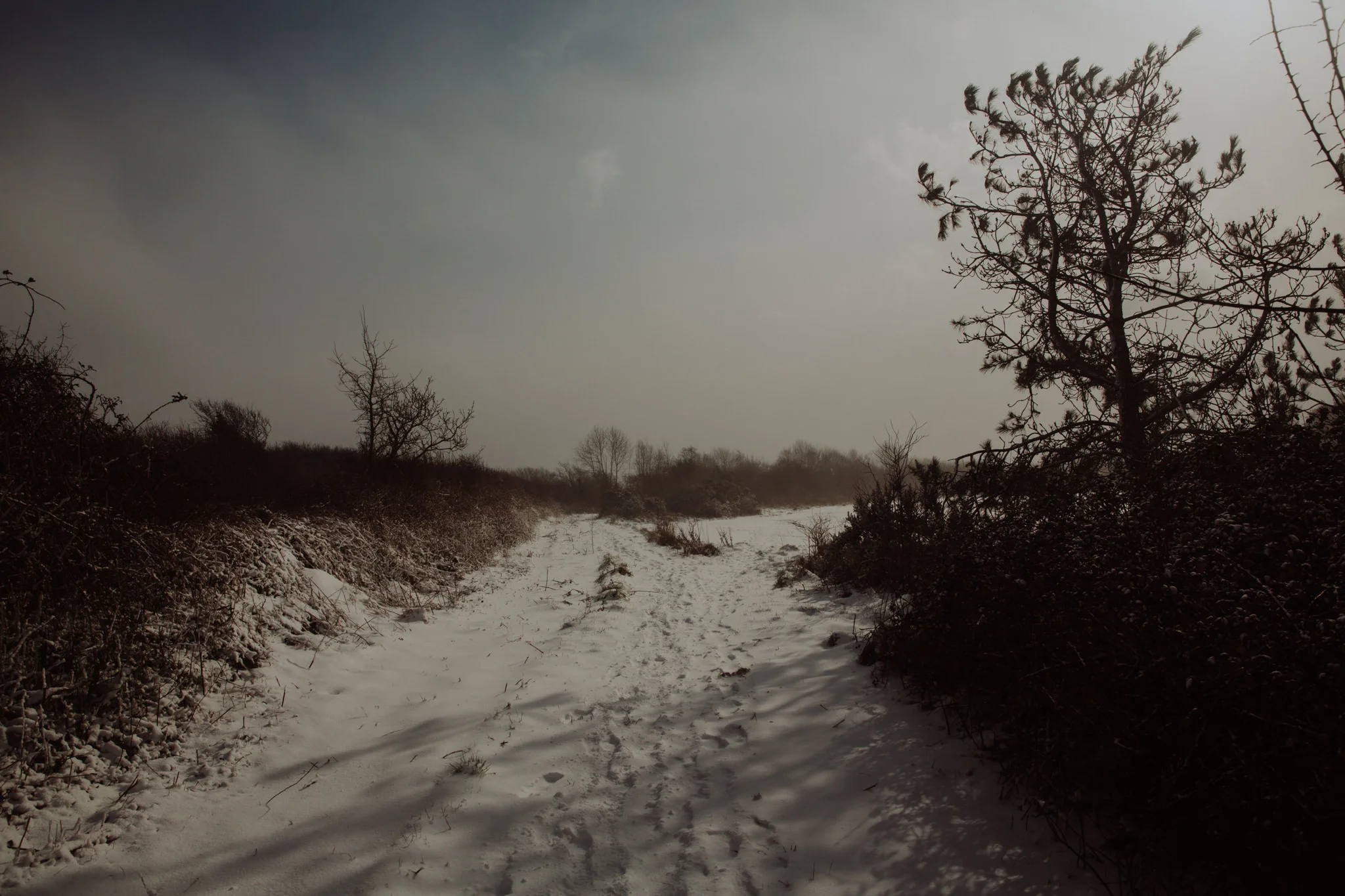 snow-22.jpg