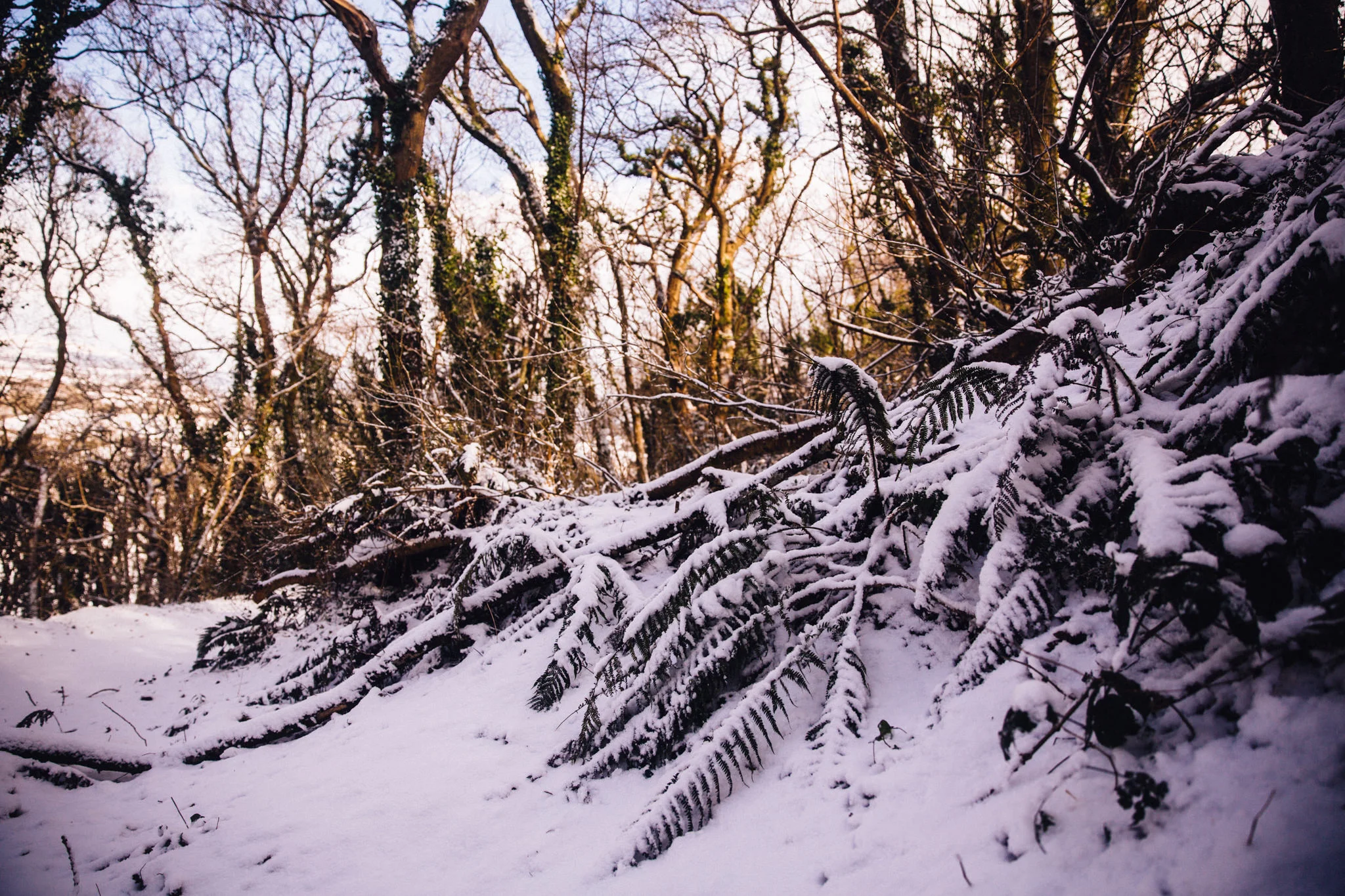 snow-24.jpg