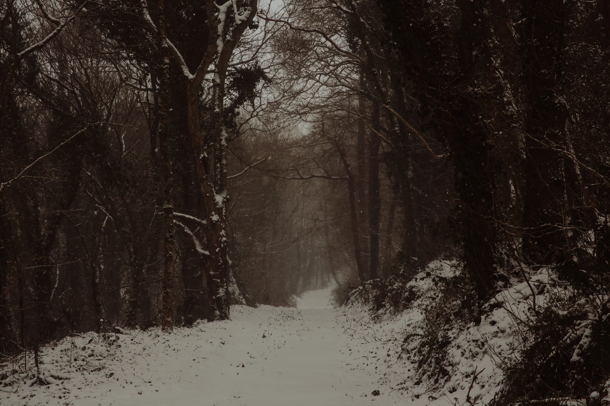 snow-25.jpg