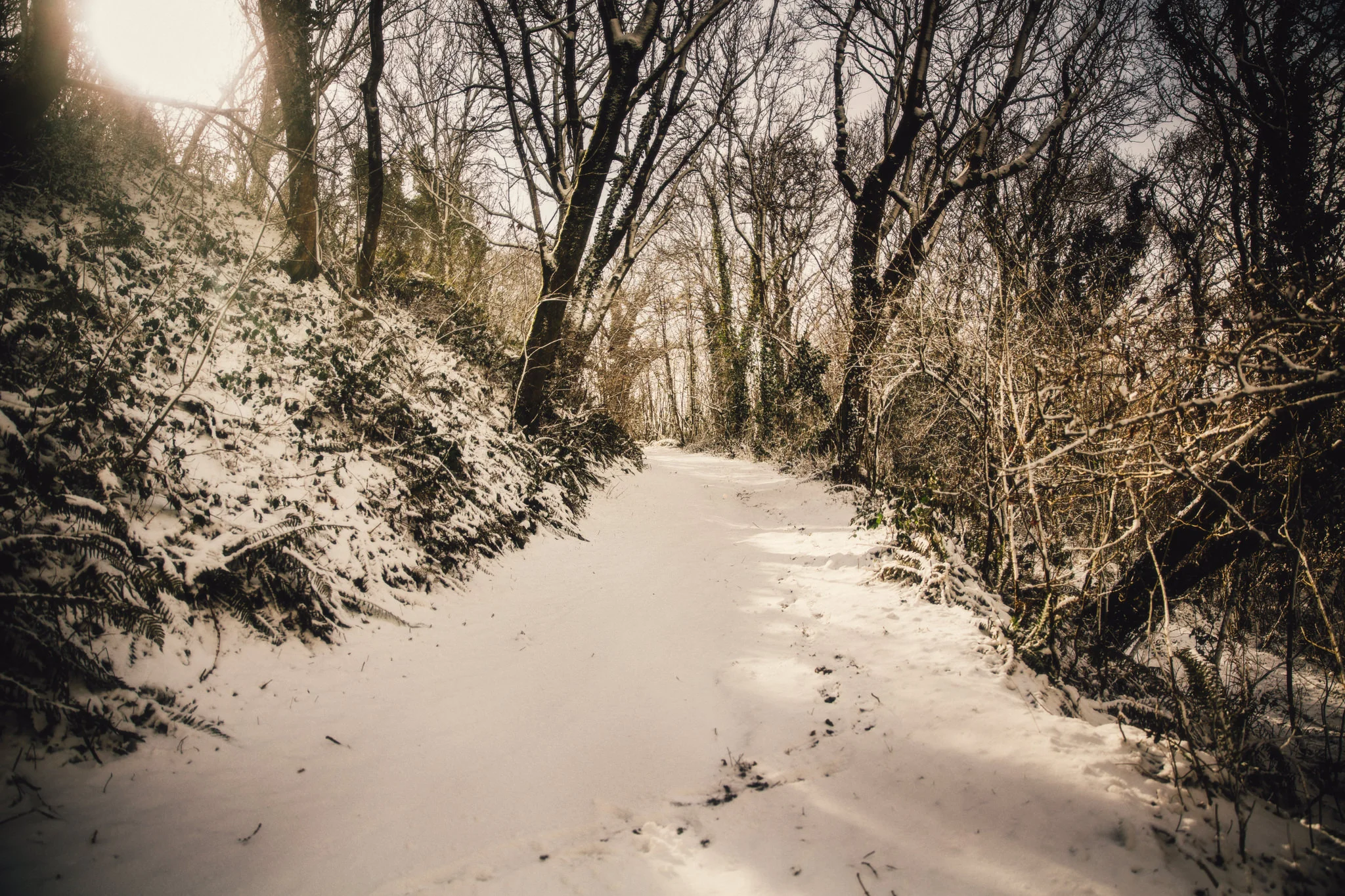snow-28.jpg