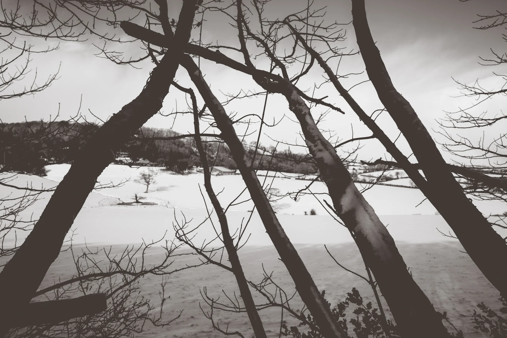 snow-36.jpg