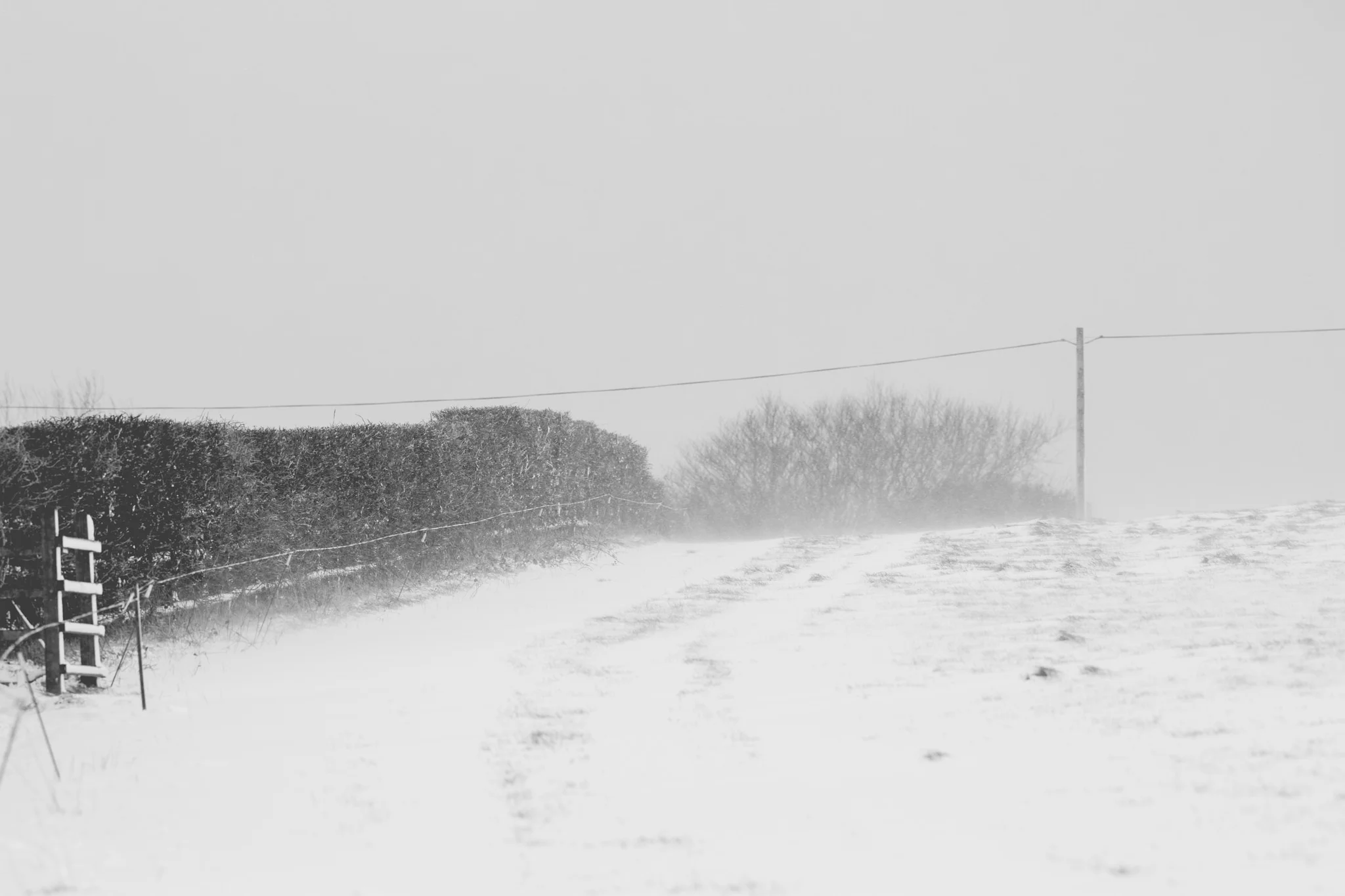 snow-45.jpg