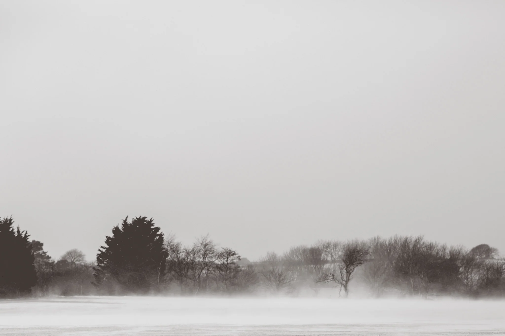 snow-47.jpg