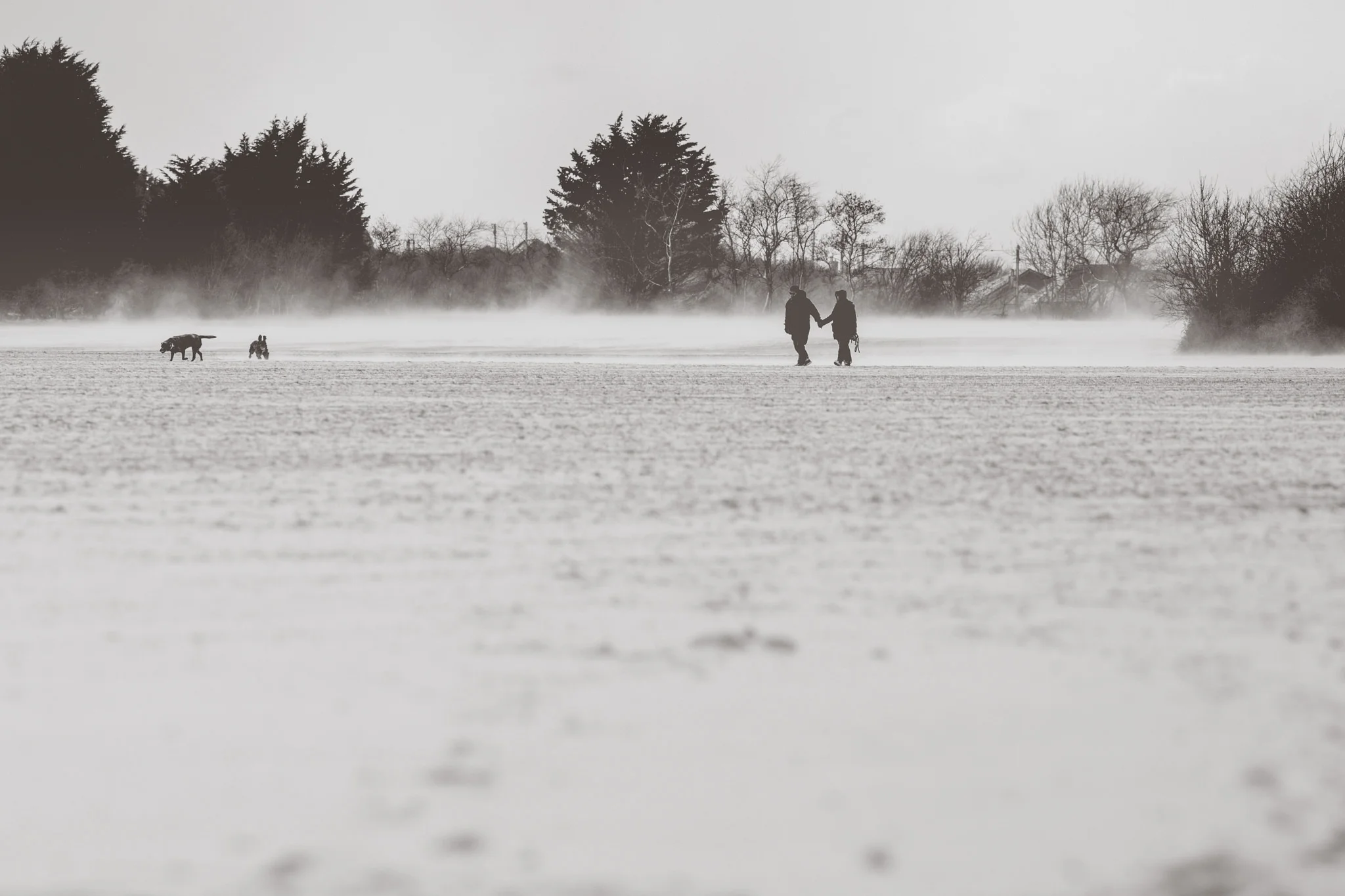 snow-48.jpg